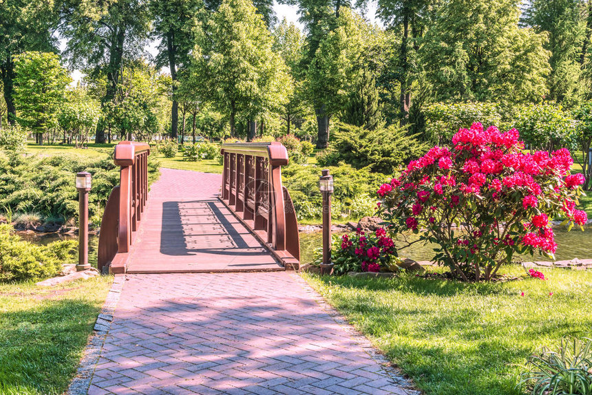 基辅附近Mezhigirya公园湖对面的一座小桥图片