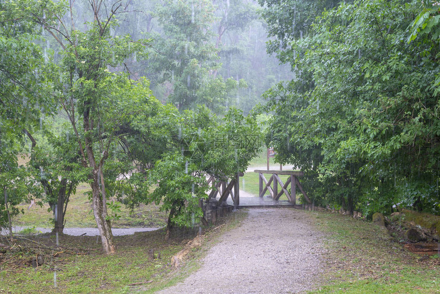 匈牙利Beech山Szalajka图片