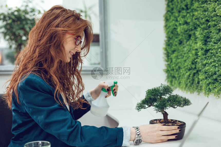 青年商业女青年在邦萨树图片