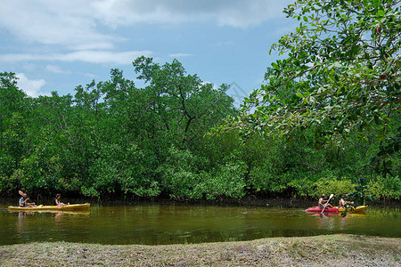 塞舌尔马埃岛红树林沿线的两条有游客的船图片