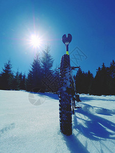 在新雪中骑大轮胎骑自行车的人在山上的雪路上骑自行车在HDR模式图片