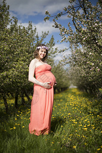 在春花中美丽的孕妇与盛背景图片