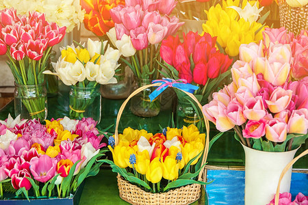 花店里美丽的郁金香花束图片