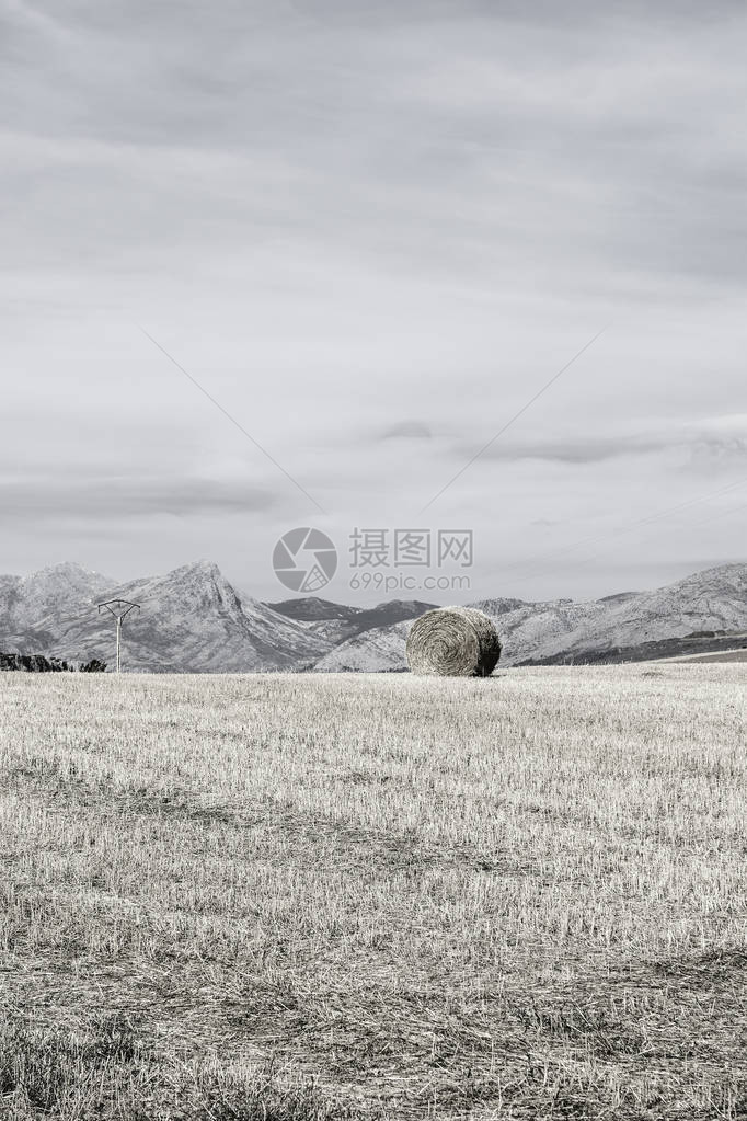 清晨在西班牙坎塔布里安山的田地上撒海光图片