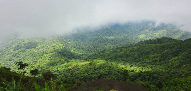 绿色山上弥漫着大雾的图片