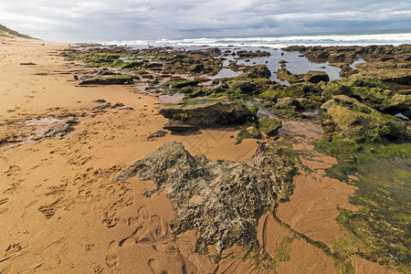 在南非德班布卢夫Garvies海滩的低潮岩石状海滩浪和海洋图片