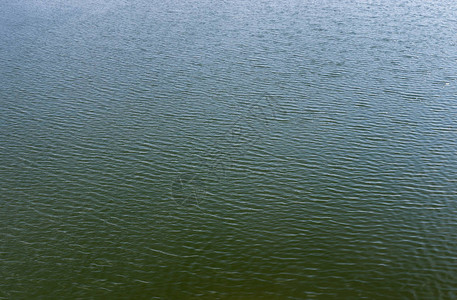 春季天湖水中的涟漪图片
