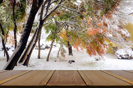 日本川口子Kawaguchiko2016年秋叶和初雪背图片