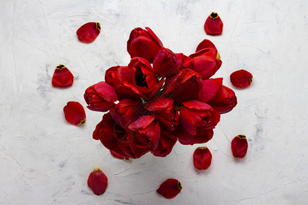 红色的郁金香在图像和花瓣的中心在光石背景上复制空间图片