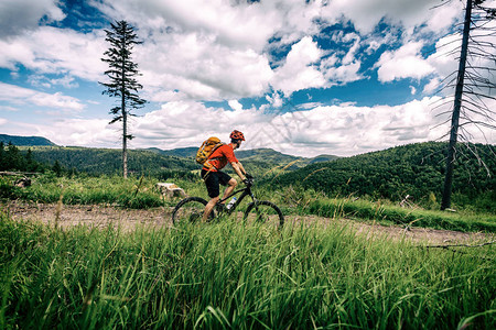 山地自行车男子在夏季励志景观中骑自行车图片