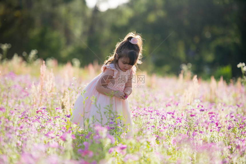 穿粉红公主礼服的小女孩在夏日夜金光照耀着图片