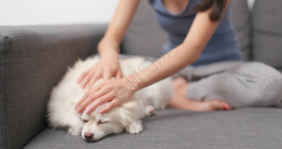 女人抚摸她的狗坐在沙发上图片