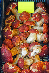 市场上展示的蘑菇图片