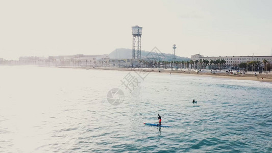 冲浪者在解剖海浪的板上骑行和游泳库存一个人骑在海浪图片