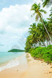 热带海滩LipaNoi泰国高图片
