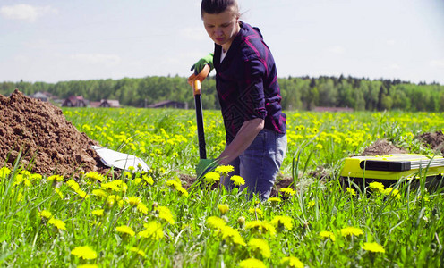 女生态学家在草地上挖掘土壤狭缝图片