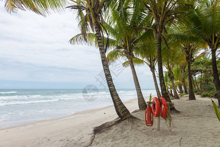 海滩上的红色生命浮标背景有明亮的沙子图片