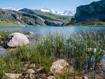 高山湖泊景观在PicosdeEuropa公园图片