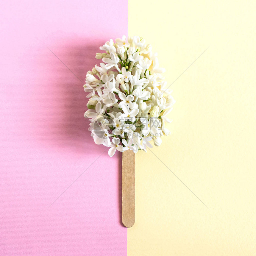 像冰棍一样的棍子上的白色丁香花极简主义夏季食品的创意概念两色柔和的图片