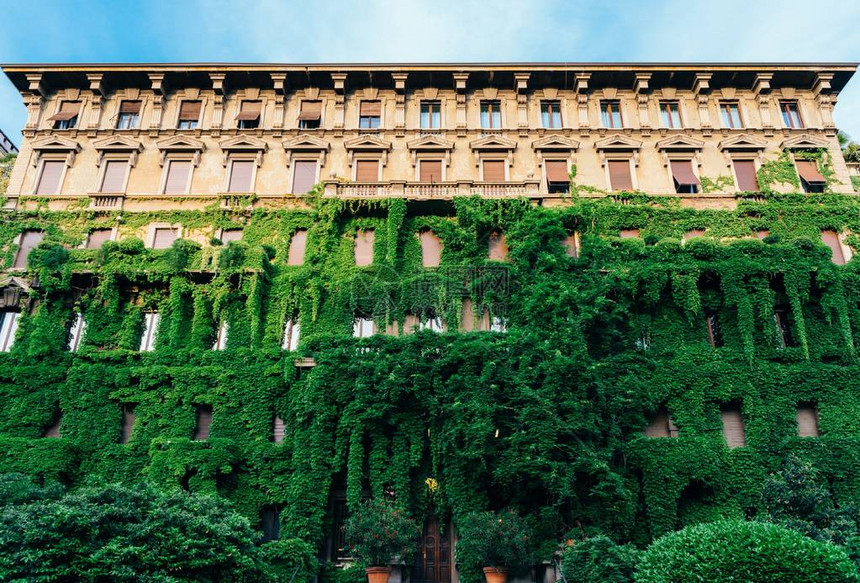 米兰意大利别墅的铁木门入口在春天时被美丽的绿叶遮盖在了一道漂亮图片