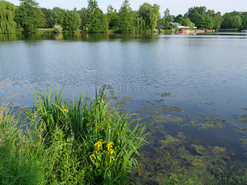 德国湖边的夏天图片