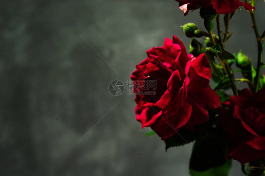 明亮的红色花园玫瑰在木制桌子图片