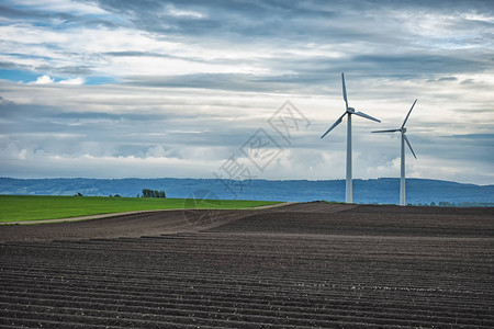 绿色田野风力农场图片