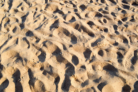 美丽的黄气松散海砂有波浪图片