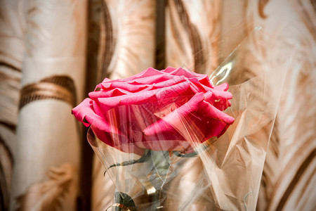 粉红玫瑰在礼物包装纸上在褐色闪亮布图片