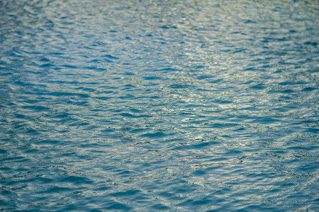 小波浪游泳池蓝水上的波纹游泳图片
