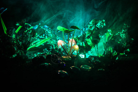 神秘黑暗森林特写中的三个幻想发光蘑菇神奇蘑菇或三个灵魂在化身森林中迷失的美丽微距镜头背景上有雾的仙女灯背景图片