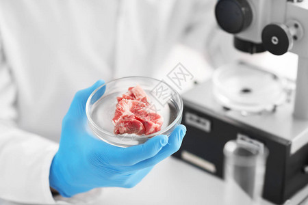 科学家将Petri饭和肉样本图片