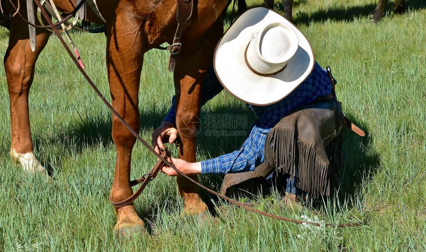 一名身份不明的牛仔用皮带在牧场乡间围捕和打上品图片