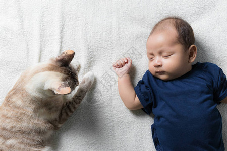 躺在新生婴儿旁边的猫图片
