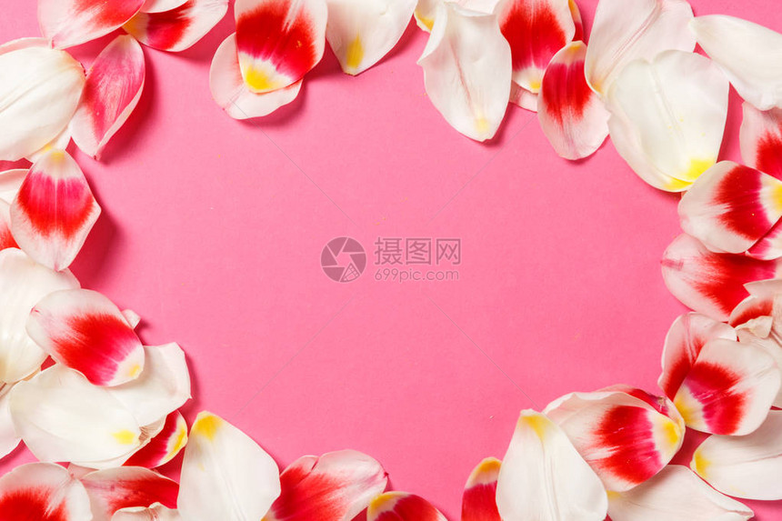 用郁金香花瓣模拟女时尚为您的设计婚礼博客卡片复制空间顶视图平躺的红色花瓣图片