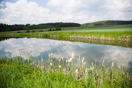 在上普法尔茨钓鱼的池塘钓鱼池背景图片