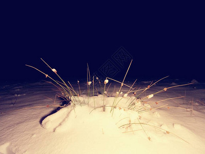 寒冬深夜和草原上的植物在清雪下在冬天图片