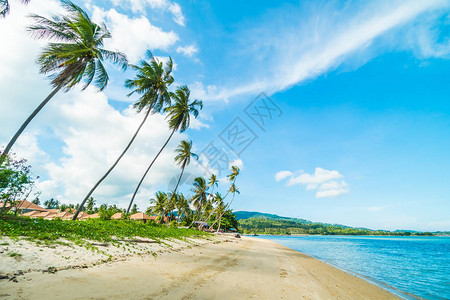 美丽的热带海滩和海天堂岛图片
