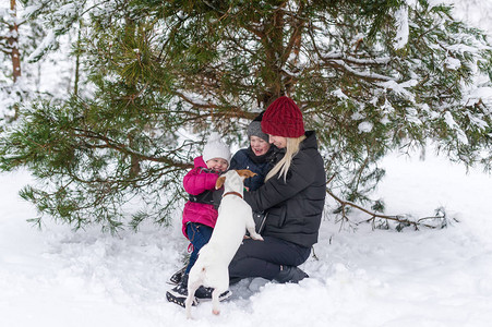 女人和她的小孩在雪地上玩狗在firtree下杰克图片