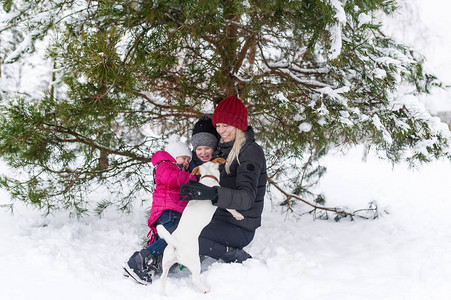女人和她的小孩在雪地上玩狗在fir图片