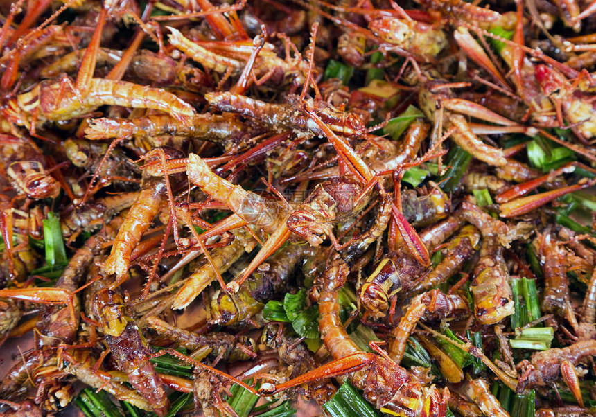 奇怪的昆虫油炸食物图片