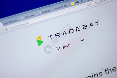 TradeBay网站主页图片