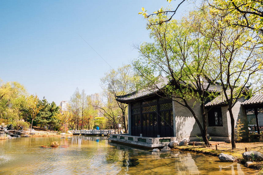 传统房屋和花园图片