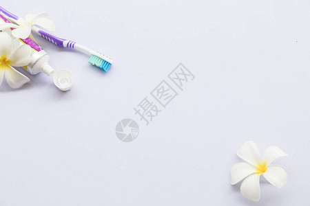 背景白色素馨花草本保健口腔牙刷和牙膏图片