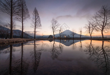 清晨富士山在藤之宫县Fumotopara露营地图片