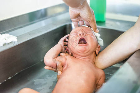 医院水槽中新生儿婴图片