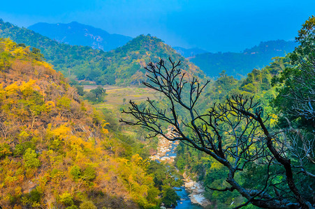 山上的剪影树在白天阳光明媚的日子从山顶拍摄风景格使用背景墙纸屏幕保护程序电子贺卡网站装饰室内自然旅行假期概念主题是灵感充满希望的背景图片