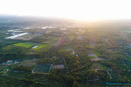 雾自然景观鸟瞰山日出图片