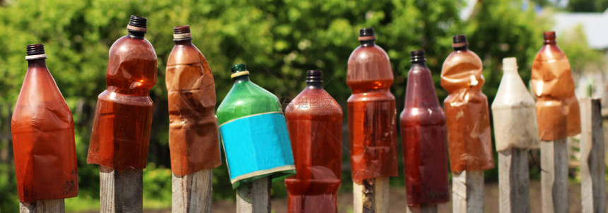 12个塑料单加仑水瓶和在社区花园的地上浇图片