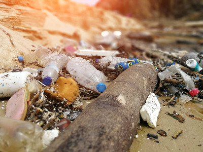 海滩上的污染和垃圾海上的塑料废物以及图片